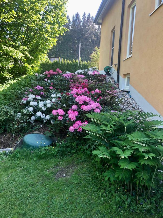 SamingAm Wildbach Bei Passau公寓 外观 照片