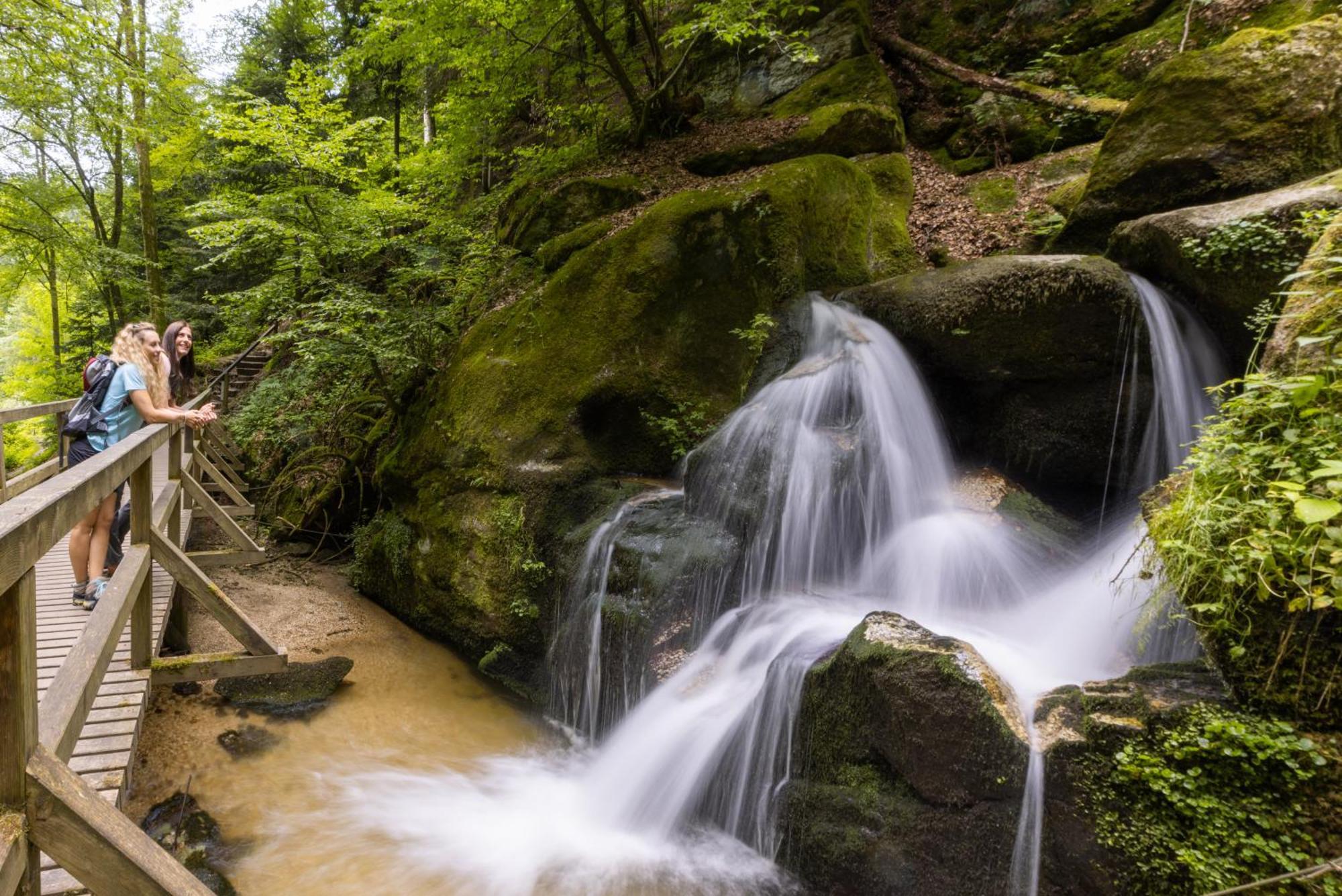 SamingAm Wildbach Bei Passau公寓 外观 照片