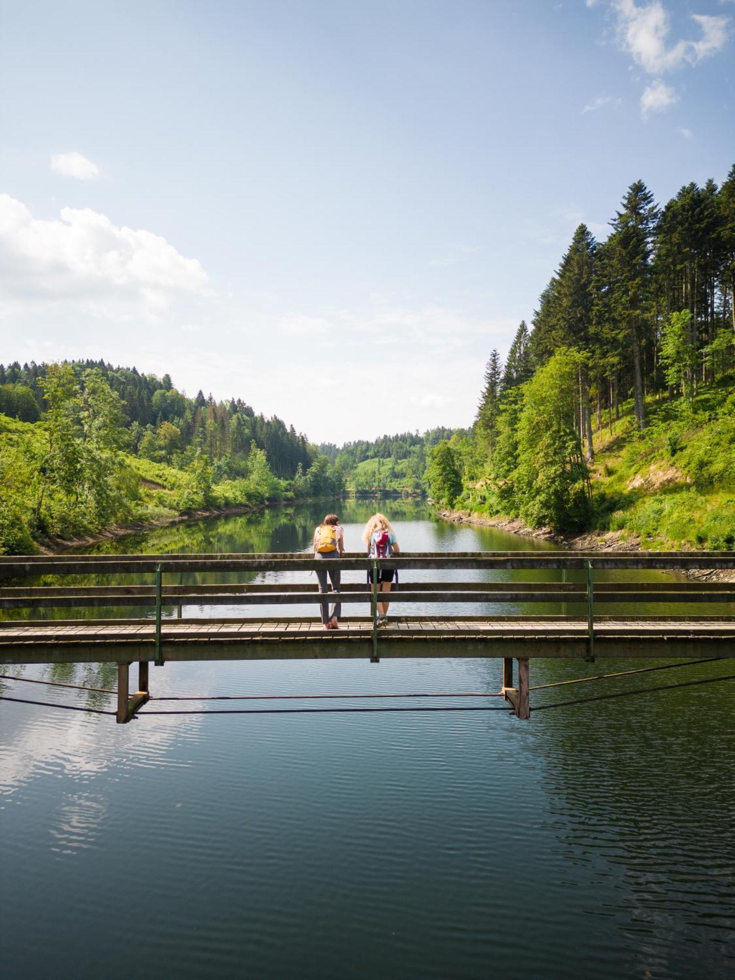 SamingAm Wildbach Bei Passau公寓 外观 照片
